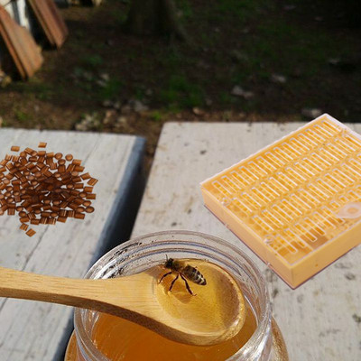Mesinduse tassikomplekt 120 rakutopsi mesilastööriistade komplekt Mesilasema kasvatamise süsteem Bee Nicot Täielik püüdja puur Mesinduse abimees