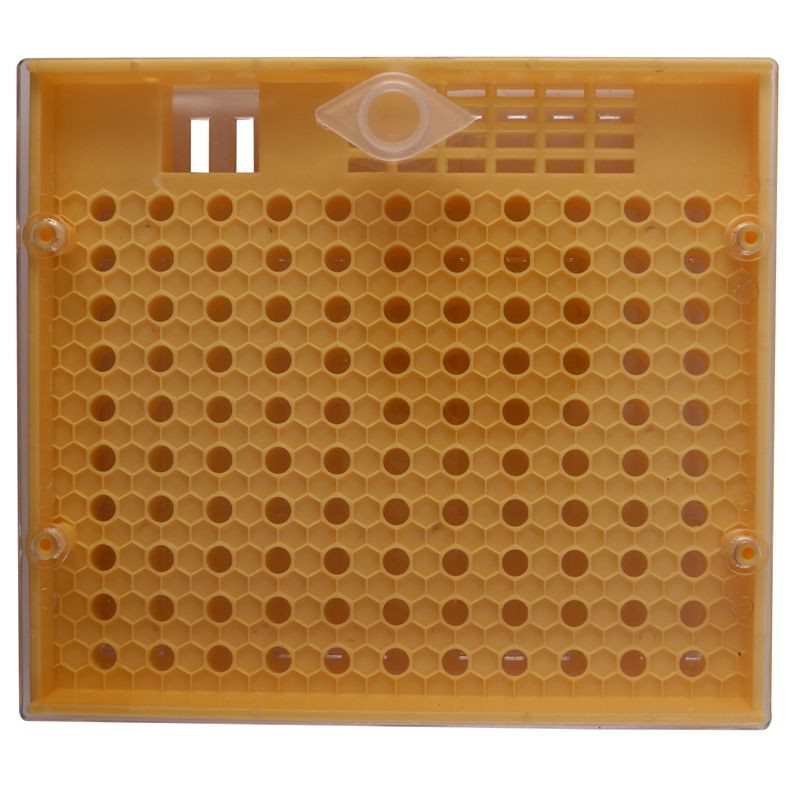 Bitininkystės puodelių rinkinys 120 ląstelių puodelių bičių įrankių rinkinys karalienės auginimo sistema Bičių nikotinas, pilnas gaudyklės narvelis bitininkystės pagalbininkas