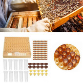 1 rinkinys bičių karalienės veisimui ir auginimui plastikinės dėžutės bitininkystė Nemokamas uždengimas stalo pagrindo puodelis Pilnas bitininkystės įrankių rinkinys, reikmenys