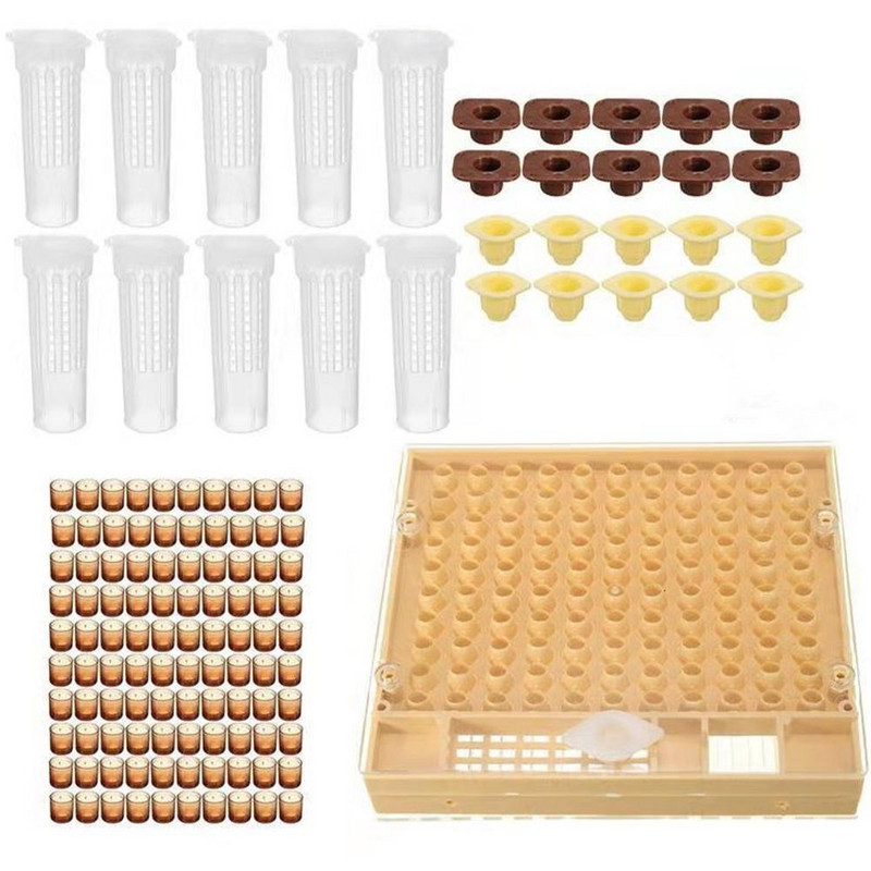 1 rinkinys bičių karalienės veisimui ir auginimui plastikinės dėžutės bitininkystė Nemokamas uždengimas stalo pagrindo puodelis Pilnas bitininkystės įrankių rinkinys, reikmenys