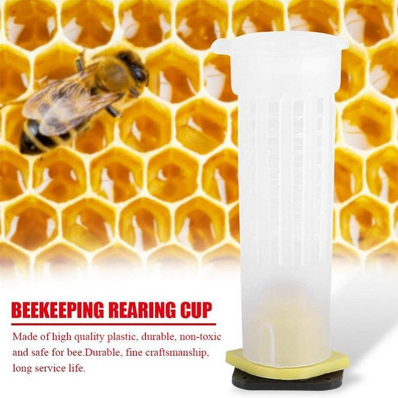 1 rinkinys bičių karalienės veisimui ir auginimui plastikinės dėžutės bitininkystė Nemokamas uždengimas stalo pagrindo puodelis Pilnas bitininkystės įrankių rinkinys, reikmenys