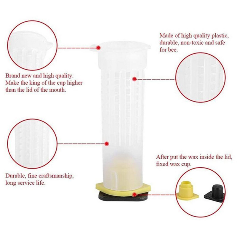 1 rinkinys bičių karalienės veisimui ir auginimui plastikinės dėžutės bitininkystė Nemokamas uždengimas stalo pagrindo puodelis Pilnas bitininkystės įrankių rinkinys, reikmenys