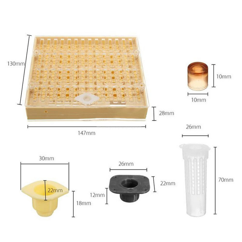 1 rinkinys bičių karalienės veisimui ir auginimui plastikinės dėžutės bitininkystė Nemokamas uždengimas stalo pagrindo puodelis Pilnas bitininkystės įrankių rinkinys, reikmenys