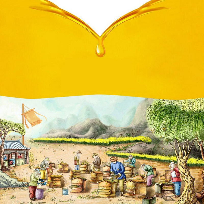 100 ks včelích hniezd, včelárskych plástov, včelích voskových rámov, medových úľov, záhradných včiel, včelích hniezd, včelárskych nástrojov, veľkoobchod