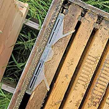 Νέα 24 συσκευασίες Beetle Beetle Trap, Clear Plastic Reusable Beetle Blaster Trap for Hive Beetle Beebeleeping Supplies