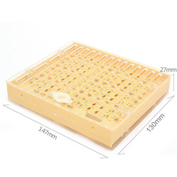 NOCM 155 τμχ πλαστικό σύστημα εκτροφής βασίλισσας Κουτί καλλιέργειας κύπελλα κυττάρων Bee Catcher Cage μελισσοκομικός εξοπλισμός