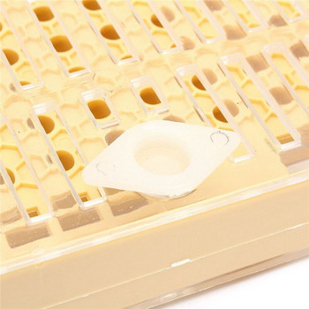 NOCM 155 бр. Пластмасова система за отглеждане на кралица Култивираща кутия Клетъчни чаши Клетка за улавяне на пчели Инструмент за пчеларство Оборудване