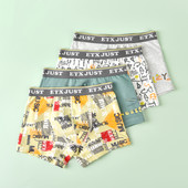 Vaikiški bokseriai berniukams su užrašu