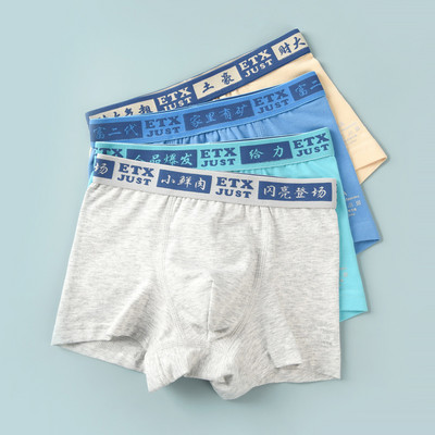 Vaikiški bokseriai berniukams su užrašu