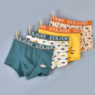 Vaikiški bokseriai berniukams su užrašu