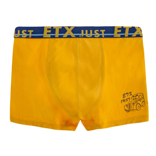 Vaikiški apatiniai berniukams, bokserių tipas kitokiu raštu