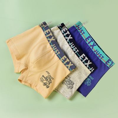 Vaikiški bokseriai berniukams - su užrašu