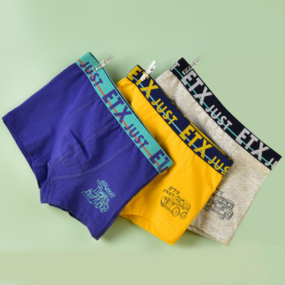 Vaikiški bokseriai berniukams - su užrašu