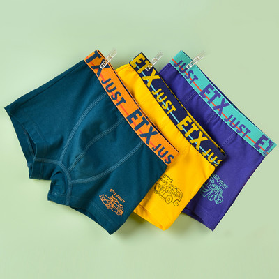 Vaikiški bokseriai berniukams - su užrašu