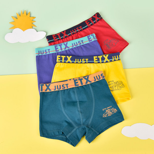 Vaikiški bokseriai berniukams - su užrašu