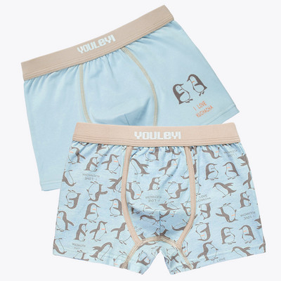 Vaikiški apatinio trikotažo tipo bokseriai berniukams su raštu