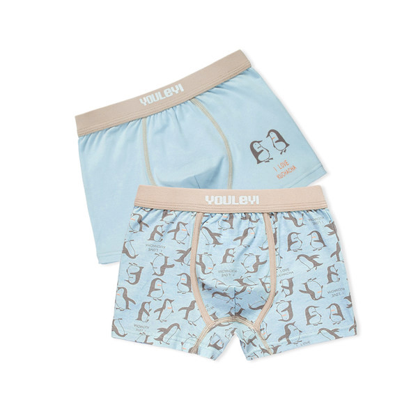 Vaikiški apatinio trikotažo tipo bokseriai berniukams su raštu