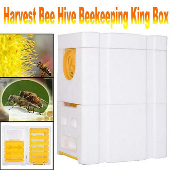 Foam Beehive Bee Bee Copulation Box Foam Breeding Box Κουτί επικονίασης Μονής/Διπλής στρώσης Κουτί αναπαραγωγής Μελισσοκομίας Εργαλεία