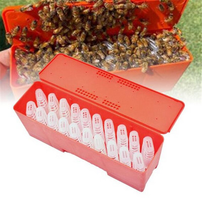 Пчеларски консумативи Пчели-майки Кутия за доставка с 20 БР. Клетки за маточници Оборудване за отглеждане на маточници Инкубатор за маточници