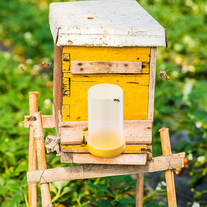 Feederbees dozatorius Maitinimo šėryklos Įėjimas Aviliai Geriamojo buteliai Paplotėliai Žiedadulkės Girdykla Laistymo Bitininkystė
