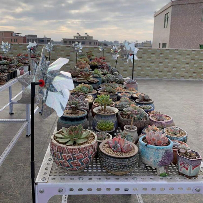 10 vnt / rinkinys Paukščius atbaidantis, atspindintis paukščių baidyklės vėjo malūnas, lauko vėjo energijos gaudyklės, kiemo kiemo kiemas, sodo dekoravimas.