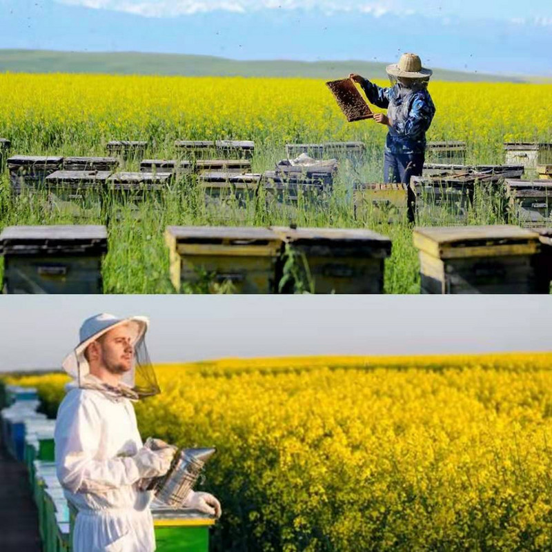 Bitininko apsauginė kepurė nuo bičių tinklelio nuo vabzdžių šydas galvos veidas Bitininko kepurė apsaugai Bitininko karvės berniuko kepurė