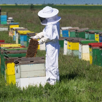 Λευκή σχισμένη μελισσοκομική ενδυμασία Επαγγελματική μελισσοκομική στολή προστασίας μελισσών με γάντια και εργαλείο κυψέλης μέλισσας Μελισσοκομία Ειλικρινής