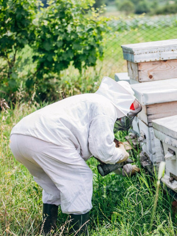 Λευκή σχισμένη μελισσοκομική ενδυμασία Επαγγελματική μελισσοκομική στολή προστασίας μελισσών με γάντια και εργαλείο μελισσοκομίας αξεσουάρ μελισσοκομίας