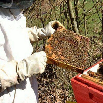 4 в 1 Комплект защитно оборудване за пчеларство Костюм за отглеждане на пчели Шапка Ръкавици Комплект инструменти Професионална вентилирана защитна шапка за пчели