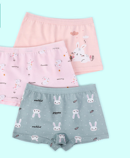 3 bokserių komplektas mergaitėms su aplikacija ir užrašu