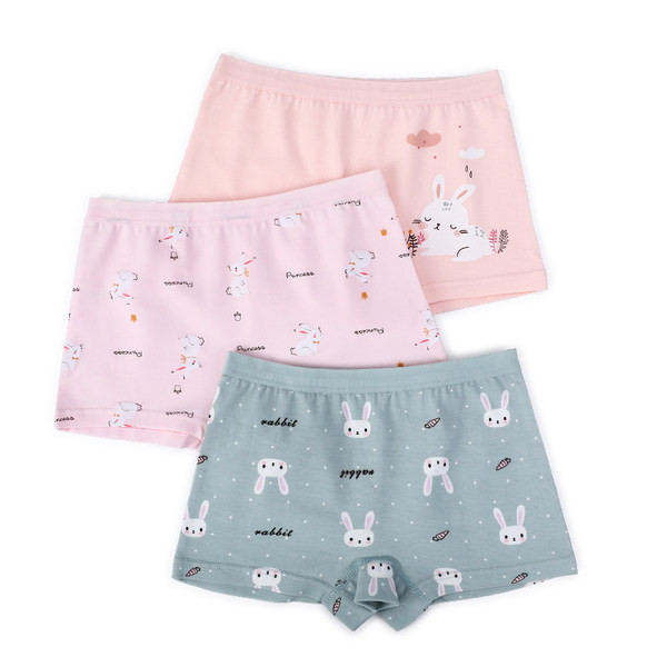 3 bokserių komplektas mergaitėms su aplikacija ir užrašu