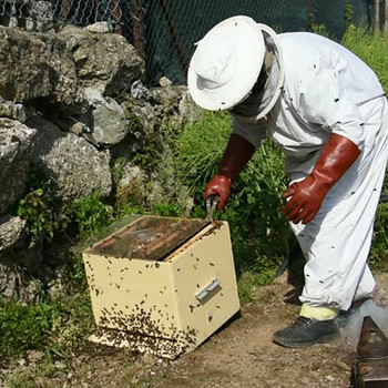 Σπίτι ασφαλείας με κουκούλα πέπλο Επαγγελματική προστατευτική ενδυμασία για αρχάριους Αεριζόμενο καπέλο με φερμουάρ Anti Bee Ολόσωμη μελισσοκομική στολή