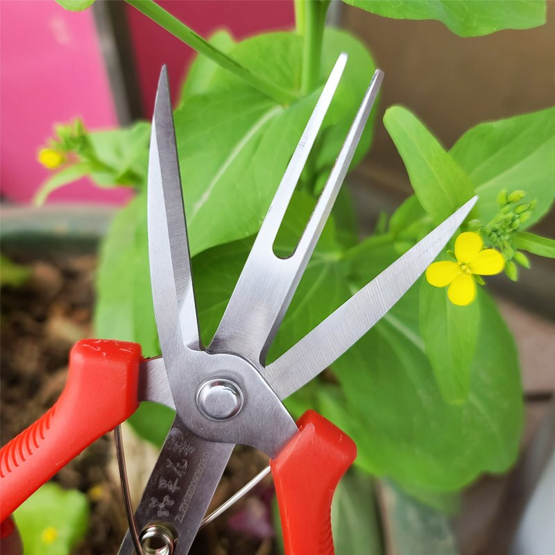 1/2/5 DB Mezőgazdasági ritkító olló Kétnyílású gyümölcs- és virágritkító olló Többcélú metsző gyümölcsfa metszőszerszámok