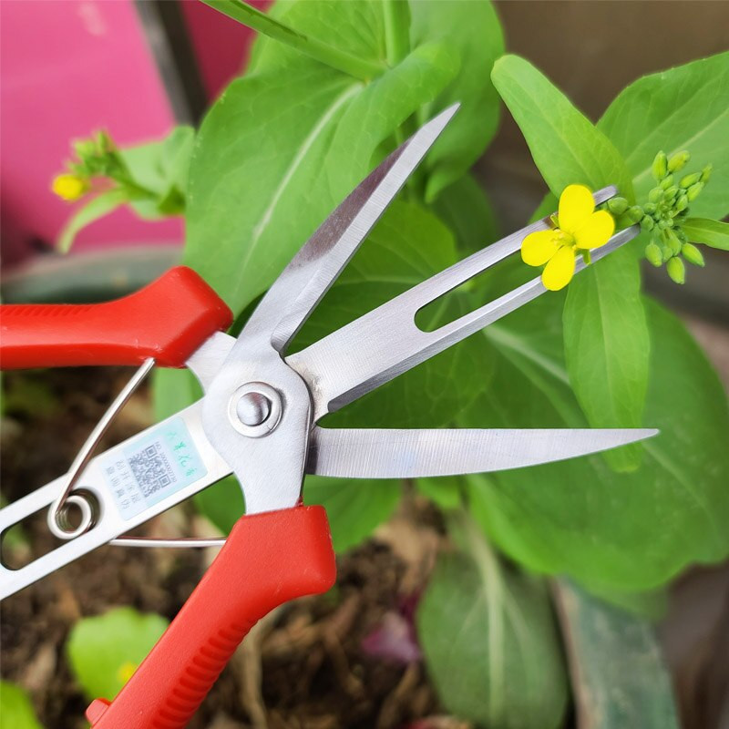 1/2/5 DB Mezőgazdasági ritkító olló Kétnyílású gyümölcs- és virágritkító olló Többcélú metsző gyümölcsfa metszőszerszámok