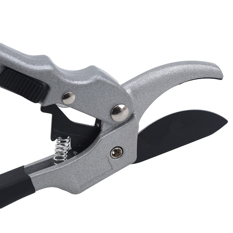 Genėjimo žirklės Didelės anglies plieno vaismedžių genėjimo žirklės Sodo genėjimas Aštrus patvarus peilis Žirklės Žirklės skiepijimo peilis