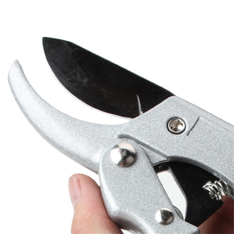 Genėjimo žirklės Didelės anglies plieno vaismedžių genėjimo žirklės Sodo genėjimas Aštrus patvarus peilis Žirklės Žirklės skiepijimo peilis