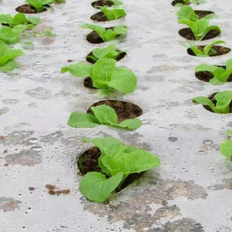 Čierna fólia na záhradnú zeleninu, poľnohospodárske rastliny, plastová fólia, perforovaná PE fólia (95 cm * 10 m, 5 otvorov 0,03 mm)