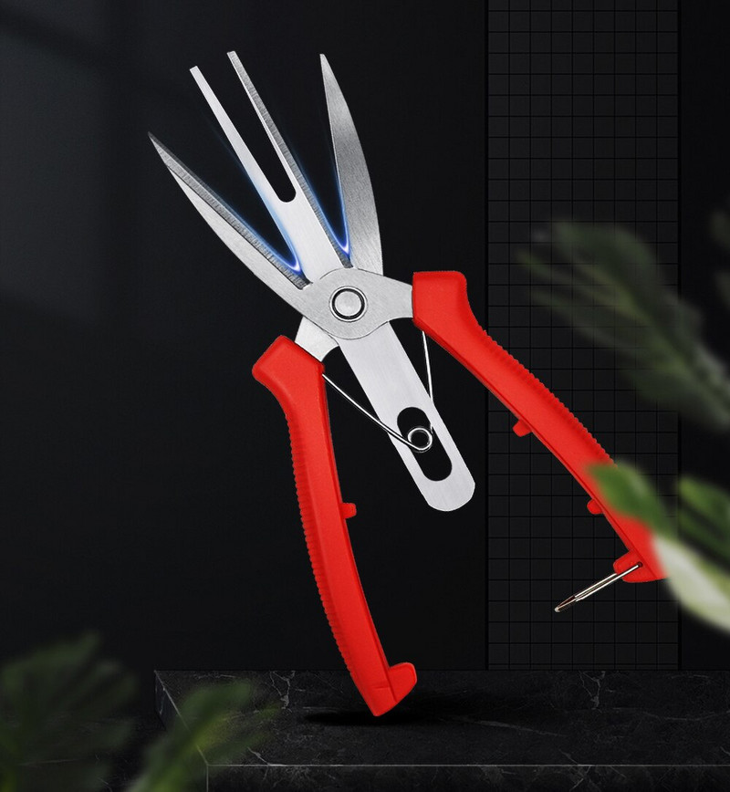 Naujos buitinės vaismedžių žirklės Dvigubos citrusinių vaisių žirklės nerūdijančio plieno kaltinės šakės Daugiafunkciai sodo genėjimo įrankiai