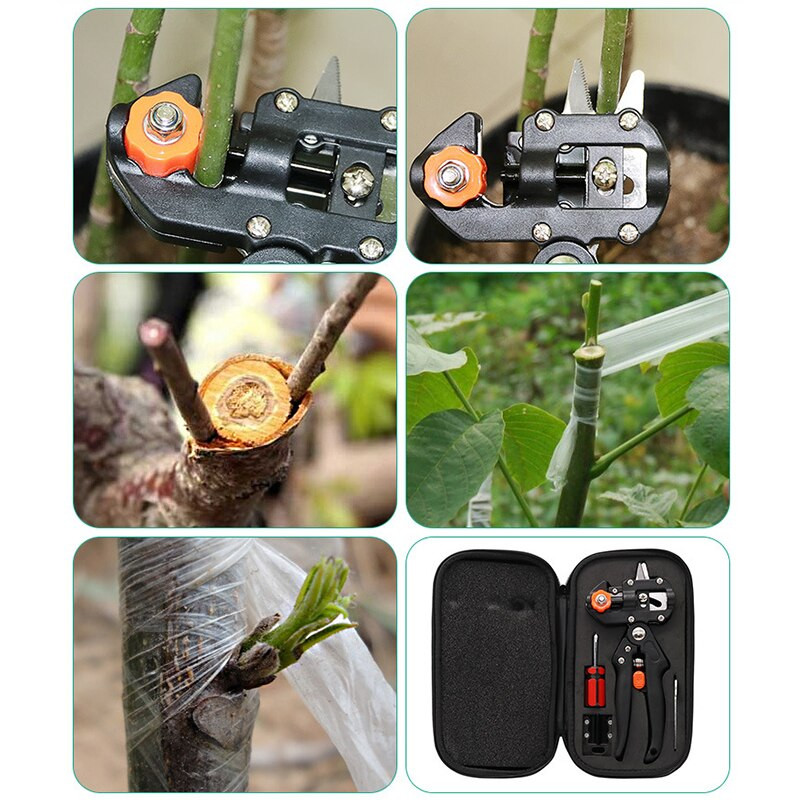 Sodo įrankiai Medžių skiepijimo peilis Genėjimas Pjovimo Žirklės Įrankis Vaismedžių pjovimo žirklės sodo augalų šakų ūkininkavimui Genėjimas