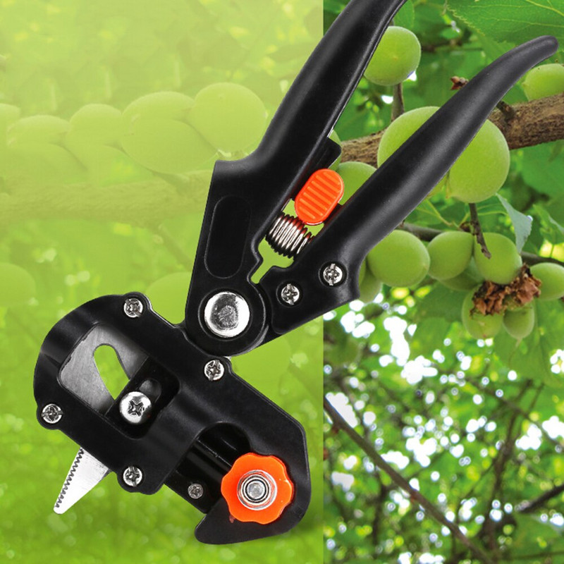 Skiepijimo žirklės Skiepijimo peilis Sėjinukas Skiepijimo mašina Persodinimas Sodininkystė Genėjimo žirklės Daigai Mašina Sodininkystė