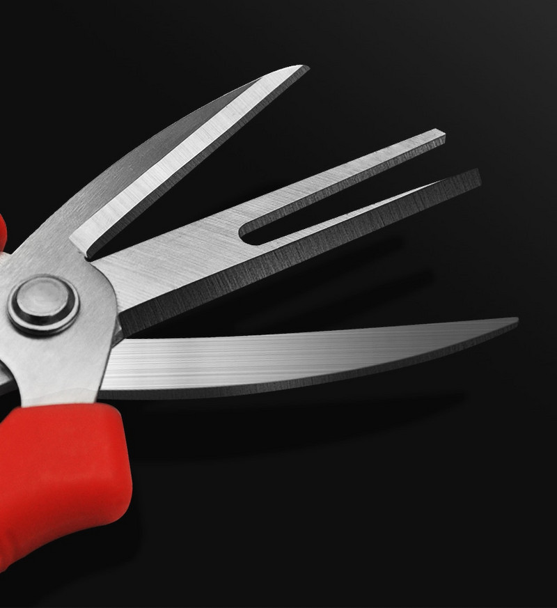 Uued majapidamises kasutatavad viljapuude käärid kahe suuga tsitrusviljade käärid roostevabast terasest sepistatud lõhestatud hargiga mitmeotstarbelised viljapuuaedade pügamistööriistad