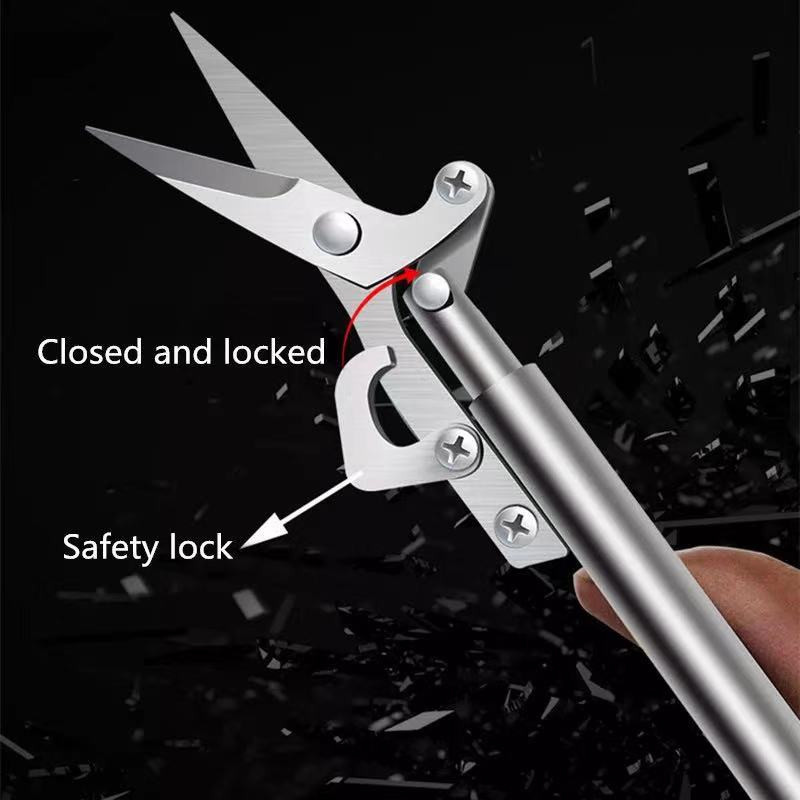 Skiepijimo genėjimas Sodo skiepijimo įrankis Profesionalus šakų pjaustytuvas Secateur Genėjimo augalų žirklės Dėžės Vaismedžių skiepijimo žirklės