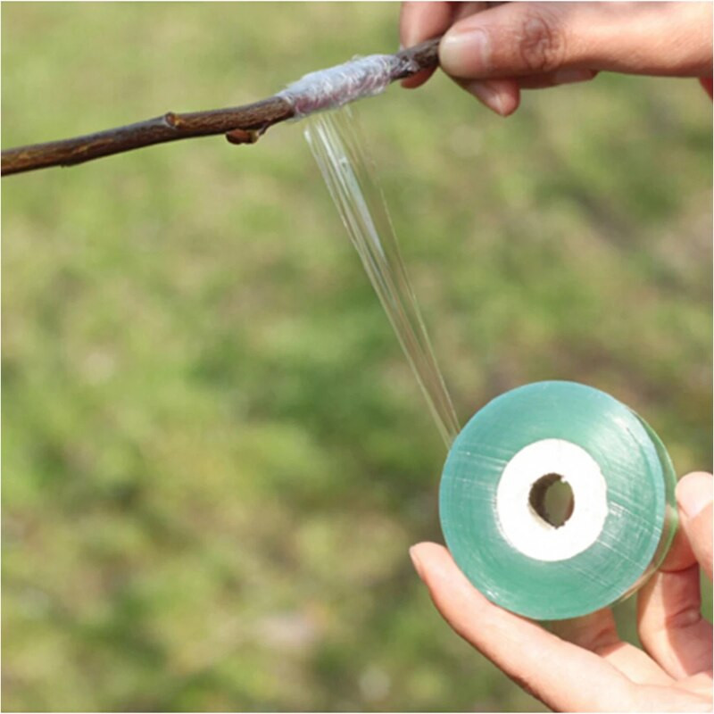 Augalų pumpuravimas Parafilm Floristika Sėklų genėjimo ritininė juosta transplantacija Drėgmės genėjimo mašinėlės taisymas Barjeras medelynas Vaismedžių sodas