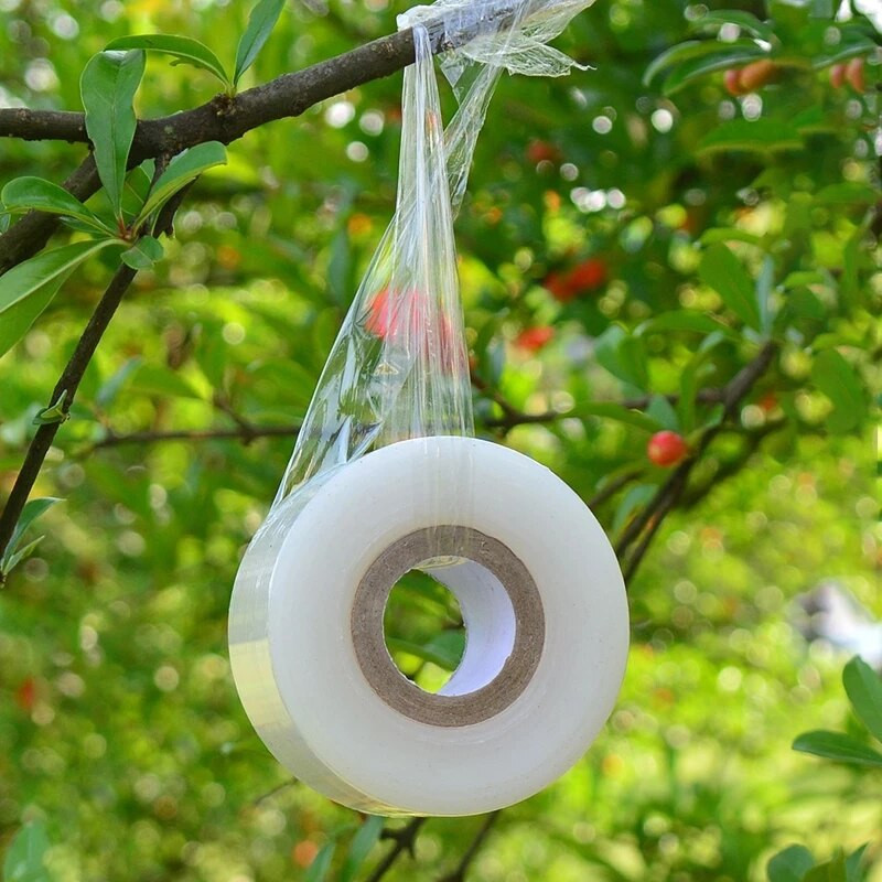 Ruloninė juosta Parafilmas Genėjimas, gėlėtas, pumpurinis barjeras Floristika Genėtojas Augalas vaismedžių medelynas Drėgmė Sodo taisymas Sėklos