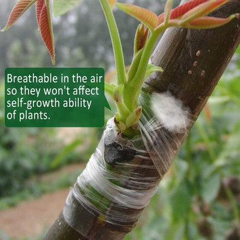 12 ролки Самозалепващи се разтегателни ленти за присаждане на градински цветя и зеленчуци Фолиа за присаждане на овощни дървета Растения 3Cm-FS-PHFU