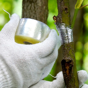 Ταινία εμβολιασμού φυτωρίου 6 Rolls για οπωροφόρα δέντρα κήπου Τεντώσιμη μεμβράνη ανθοπωλείου ποικίλης ελαστικότητας, ταινία επιδιόρθωσης φυτών