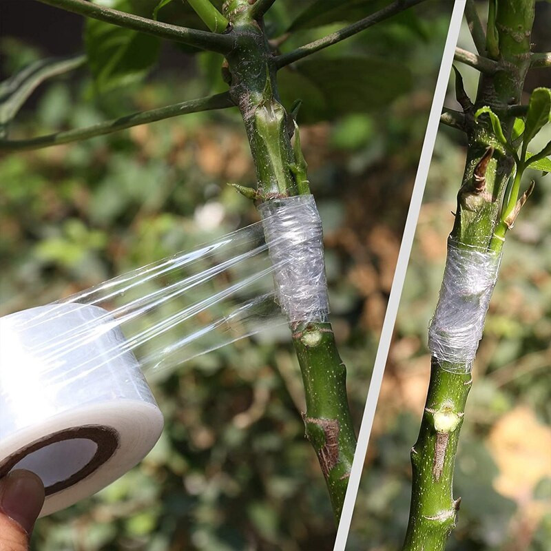 4 ks PE štepiteľská páska, samolepiaca fólia, prenosná záhradná stromová rastlina, sadenice, štepiteľský materiál, roztiahnuteľná