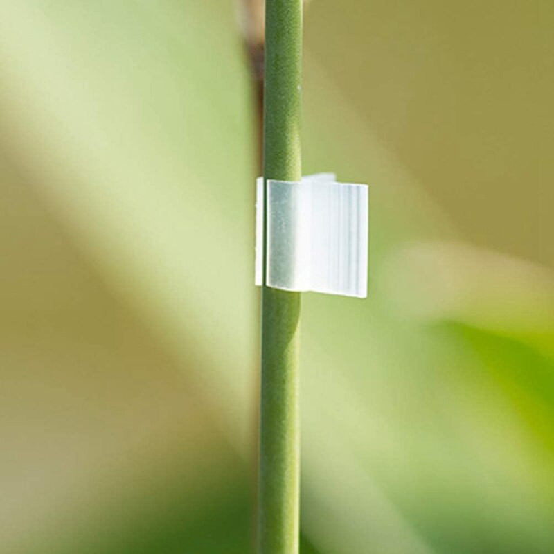 200 ks kalibračných klipov na štepenie rastlín, klipov na podporu rastlín, klipov na paradajky, záhradných mriežkových klipov na fazuľu.