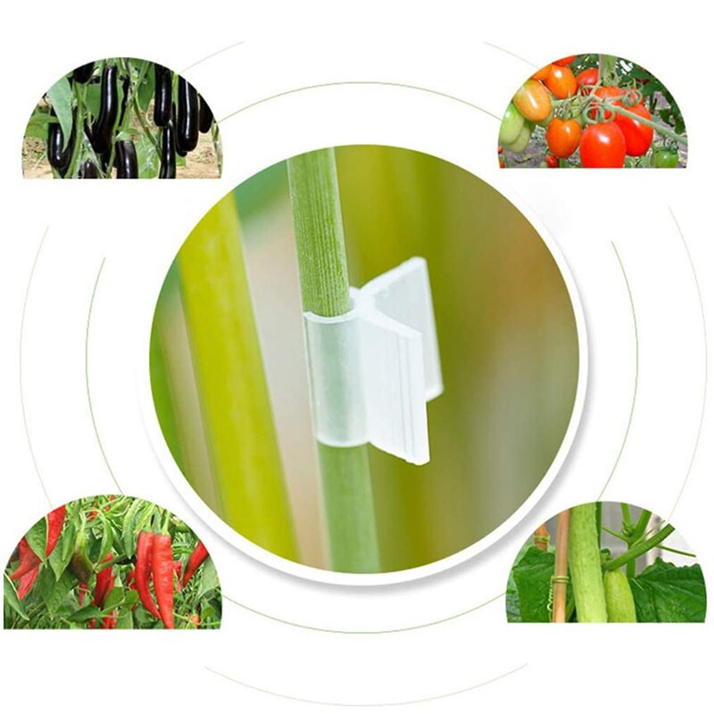 200 ks kalibračných klipov na štepenie rastlín, klipov na podporu rastlín, klipov na paradajky, záhradných mriežkových klipov na fazuľu.