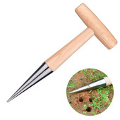 Sodo paršavedė Sėjamosios sėjamoji.